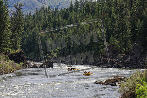 20260617-IMG_3845