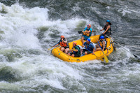 20260617-IMG_4310