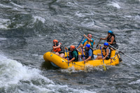 20260617-IMG_4304