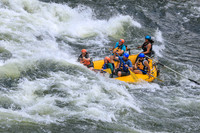 20260617-IMG_4311