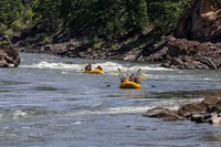 20260617-IMG_4277