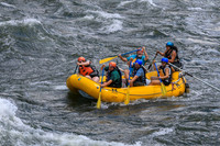 20260617-IMG_4303