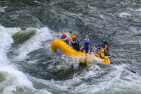 20260617-IMG_4308