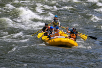 20260617-IMG_4338