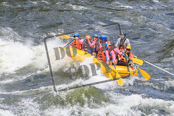 20260617-IMG_4688