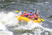 20260617-IMG_4689