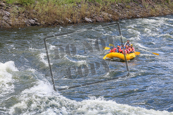 20260617-IMG_4682