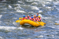 20260617-IMG_4681