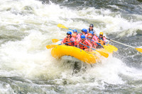 20260617-IMG_4695