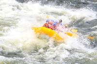 20260617-IMG_4694