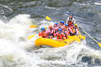 20260617-IMG_4690