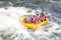 20260617-IMG_4691