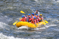 20260617-IMG_4685