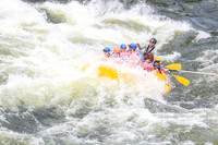 20260617-IMG_4693