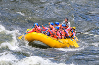 20260617-IMG_4686