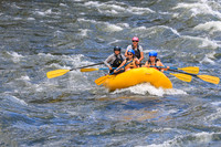 20260617-IMG_4706