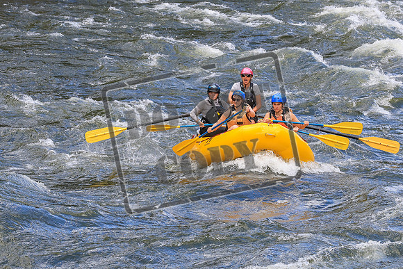 20260617-IMG_4706