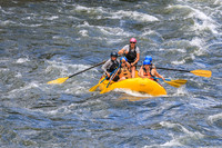 20260617-IMG_4705