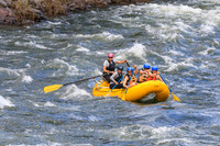 20260617-IMG_4704