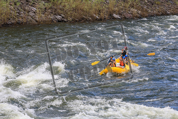 20260617-IMG_4708
