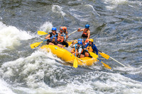 20260617-IMG_4738