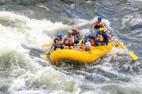 20260617-IMG_4741
