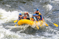 20260617-IMG_4740