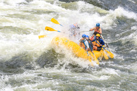 20260617-IMG_4744