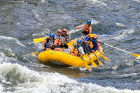 20260617-IMG_4736