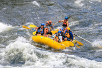 20260617-IMG_4737