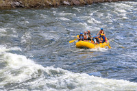 20260617-IMG_4733