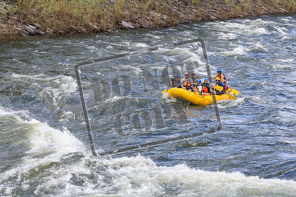 20260617-IMG_4732