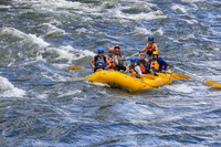 20260617-IMG_4730