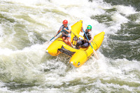20260617-IMG_4439