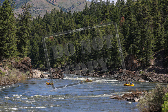 20260617-IMG_4422