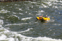 20260617-IMG_4424