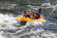20260617-IMG_4212
