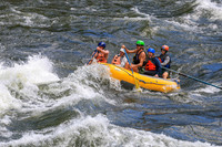 20260617-IMG_4210