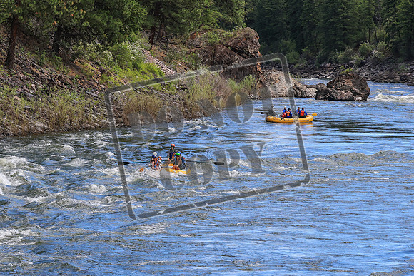 20260617-IMG_4205