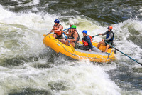 20260617-IMG_4217