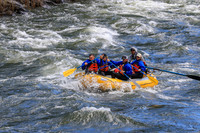 20260617-IMG_4231