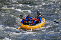 20260617-IMG_4235