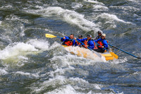 20260617-IMG_4237