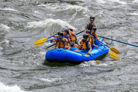 20260617-IMG_4011