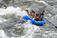 20260617-IMG_4015