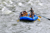 20260617-IMG_4008