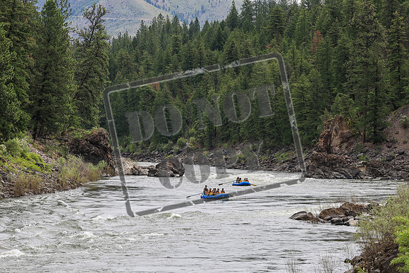 20260617-IMG_4003