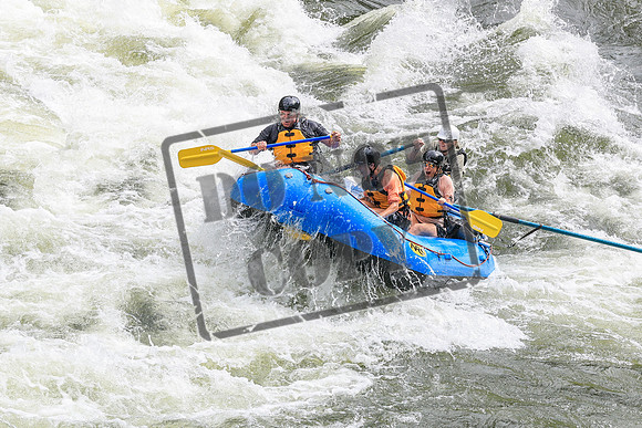 20260617-IMG_4051