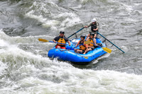 20260617-IMG_4043