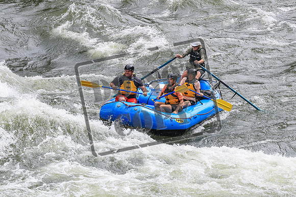 20260617-IMG_4043